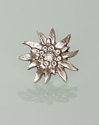 Edelweiss pin