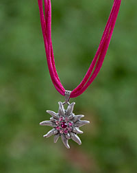 "Edelweiß" necklace fuchsia