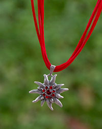 "Edelweiß" necklace red