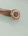 Staghorn bottle opener