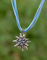 "Edelweiß" necklace light blue