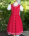 "Planegg" dirndl,blouse, apron