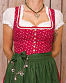 "Schöllnach" Dirndl mit Schürze