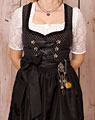 "Schweinfurt" dirndl + apron