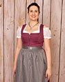 "Wildenberg" Dirndl + apron